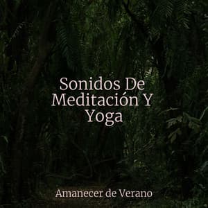 Sonidos De Meditación Y Yoga - Música relaxante