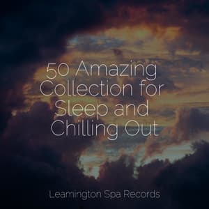 50 Amazing Collection for Sleep and Chilling Out - Zona Música Relaxante