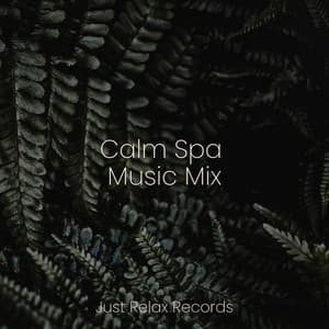 Calm Spa Music Mix - Musica para Dormir Dream House