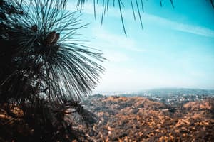 Hit Me With A Rhythm | Stress Relief Music, Sounds - Pro Sounds of Nature