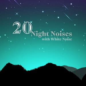 20 Night Noises , Loopable - Nature Lab