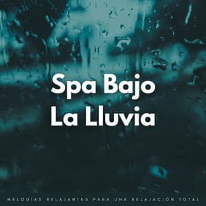 Spa Bajo La Lluvia: Melodías Relajantes Para Una Relajación Total - El poder de la lluvia