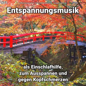 #01 Entspannungsmusik als Einschlafhilfe, zum Ausspannen und gegen Kopfschmerzen - Schlafmusik