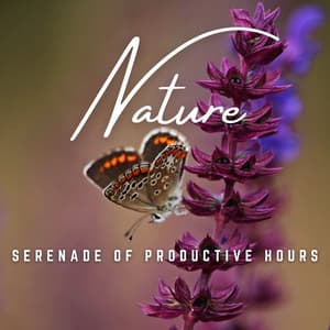 Soothing Work Flow: Ambient Efficiency - Lights of Kharma