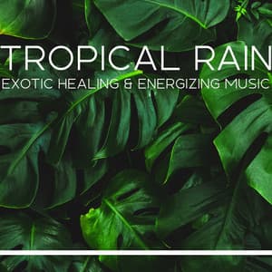 Tropical Rain. Exotic Healing and Energizing Music - Exotic Power Maker