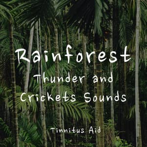 Rainforest, Thunder and Crickets Sounds - Tinnitus Aid