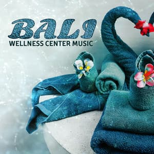 Bali Wellness Center Music: Relaxing Background for Spa, Instrumental New Age for Massage Therapy, Yoga, Stress Relief, Soothing Sounds for Total Relax Body & Mind - Beauty Spa Music Collection