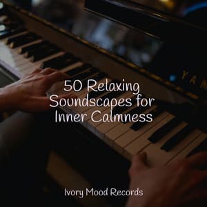 50 Relaxing Soundscapes for Inner Calmness - Ivory Mood