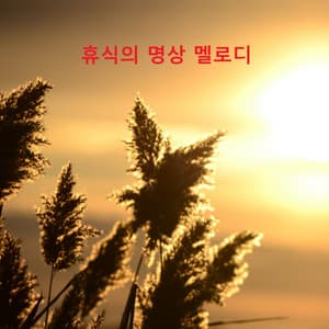 휴식의 명상 멜로디 - AMBIENT RADIO