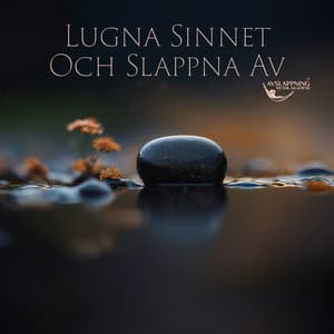 Lugna Sinnet och Slappna av - Avslappning Musik Akademi