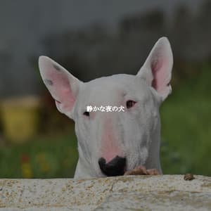 静かな夜の犬 - Coffee Shop Music Deluxe