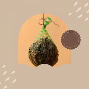 Laid-back Bgm for Positive Mindsets - Musik zum Lesen