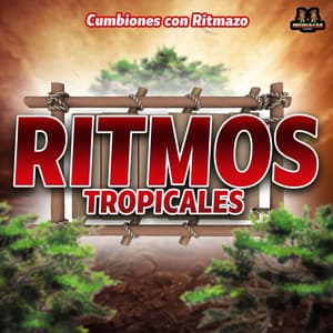 Cumbiones Con Ritmazo - Ritmos Tropicales