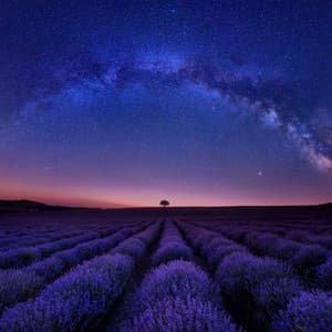 Quiet Night Harmony: Soothing Melodies for Evening Relaxation - Chill Out Time Consort