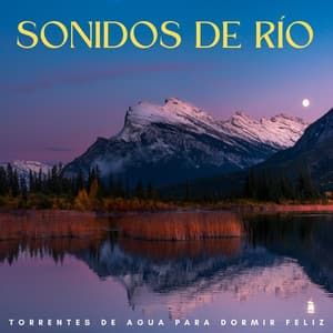 Sonidos De Río: Torrentes De Agua Para Dormir Feliz - Los durmientes de agua