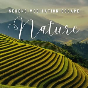 Meditation Oasis: Tranquil Soundscapes for Inner Peace - Meditation Music Solitude