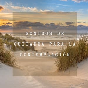Sonidos de Guitarra para la Contemplación: Armonía Profunda, Tiempo de Meditación, Terapia Relajante - Serenidad Academy