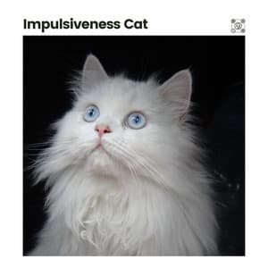 Impulsiveness Cat - Music for Cats Peace
