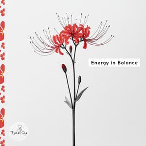Energy in Balance - Jyutsu