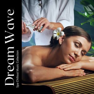 Dream Wave: Relaxation Music - Spa Chillout Music Collection