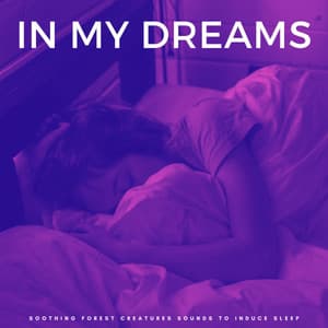 In My Dreams: Soothing Forest Creatures Sounds To Induce Sleep - Sleeping Music Academy