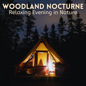 Woodland Nocturne: Relaxing Evening in Nature - Music of the Forest