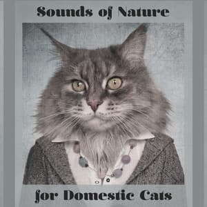 Sounds of Nature for Domestic Cats - 15 New Age Melodies Especially for Animals Which Don't Leave the House, Relaxation for a Pet, Closer to Nature, Instinct, Feel Secure, Best Friend, Birds, River, Rain - Nature Sounds