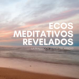 Ecos Meditativos Revelados: La Percepción Serena Del Arroyo - Naturaleza Rainforest Sounds Collective