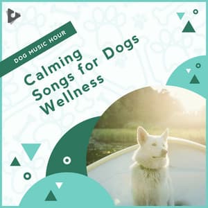 Calming Songs for Dogs Wellness - Dog Music Hour