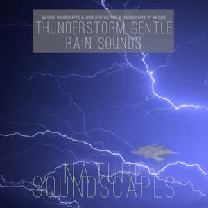 Thunderstorm Gentle Rain Sounds - Nature Soundscapes