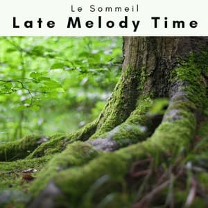 1 Late Melody Time - Le Sommeil