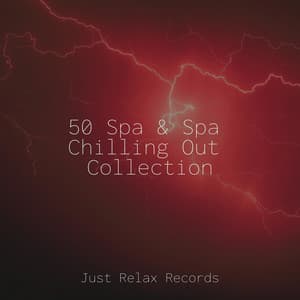50 Spa & Spa Chilling Out Collection - MÚSICA PARA NIÑOS