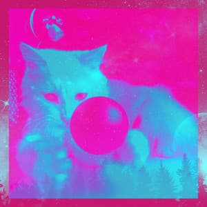 Bgm for Funny Kitten - Música para dormir Gatos