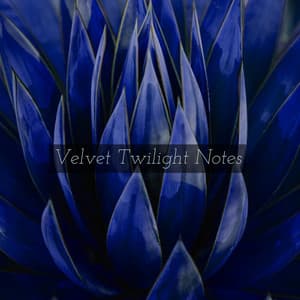 Velvet Twilight Notes - Lumenis