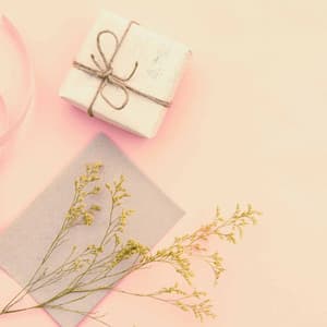 Bossa Nova Piano Duo - Bgm for Evening Country - New York Cafe Playlist