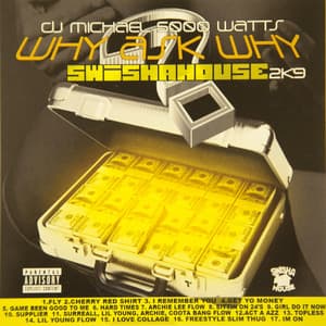 Why Ask Why 2 - Swishahouse