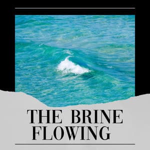The Brine Flowing - Sundays By The Ocean