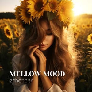 Mellow Mood Enhancer - Good Mood Lounge Music Zone