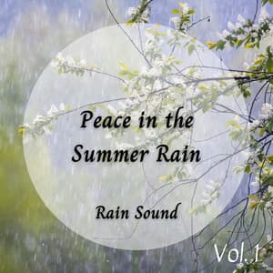 Rain Sound: Peace in the Summer Rain Vol. 1 - Rain Sounds FX