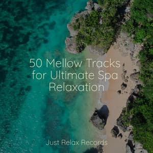 50 Mellow Tracks for Ultimate Spa Relaxation - Baby Songs & Lullabies For Sleep