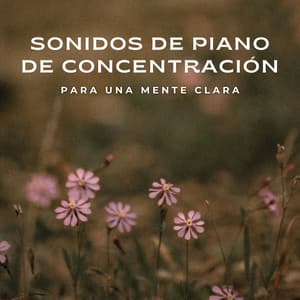 Sonidos De Piano De Concentración Para Una Mente Clara - Colectivo de música de piano triste
