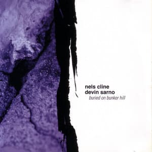 Buried on Bunker Hill - Nels Cline