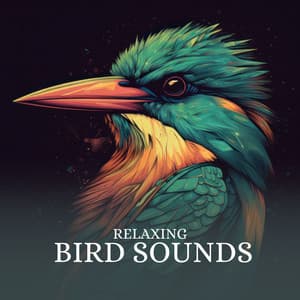 Relaxing Bird Sounds - Bird Sounds