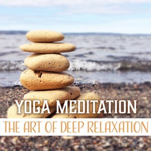 Yoga Meditation - Total Relax Zone
