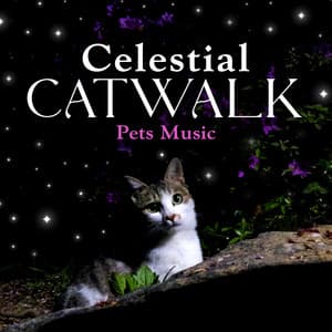 Celestial Catwalk - Pets Music