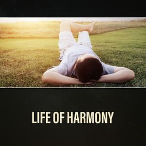 Life of Harmony – Anti Stress Therapy, Anxiety Cure, Panic Attacks Relief, Calming Down - Natural Treatment Zone