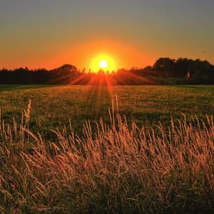 Soothing White Sough - Baby Sleep Aid