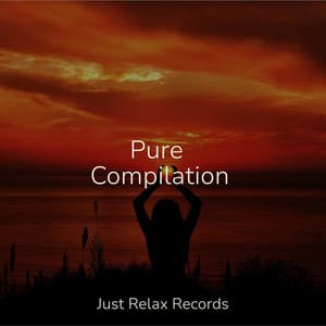 Pure Compilation - Lounge relax