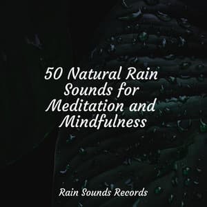50 Natural Rain Sounds for Meditation and Mindfulness - MEDITATION SPA
