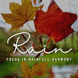 Rhythms of Rain: Focus's Harmonious Connection - Peaceful Music